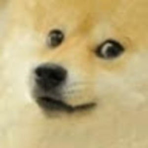 Meet your Posher, Isaac